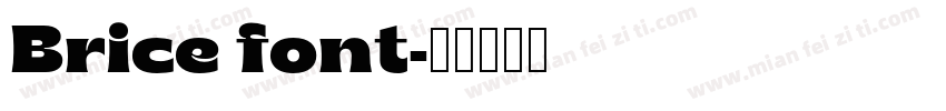 Brice font字体转换